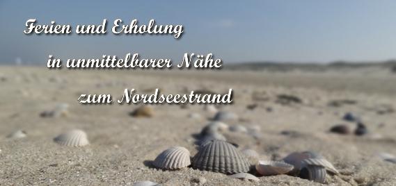 Ferienhaus Sonnentau – Impression